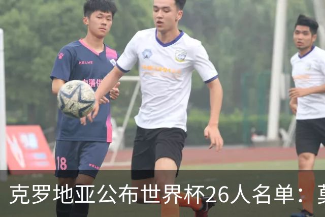 克罗地亚公布世界杯26人名单：莫德里奇、克拉马里奇入选