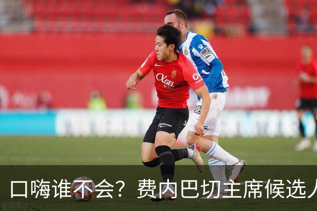 口嗨谁不会？费内巴切主席候选人怼对手：我还说赢了就签姆巴佩呢