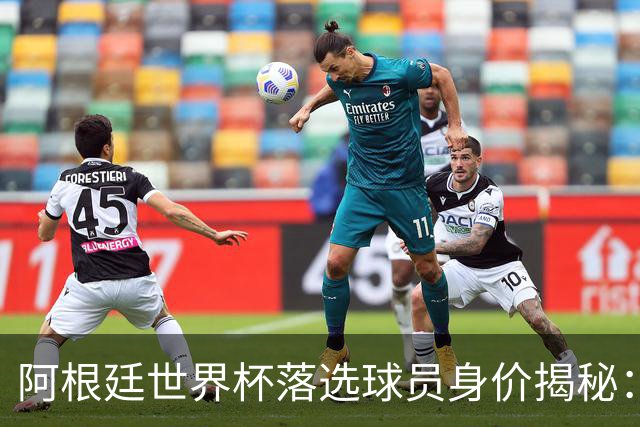 阿根廷世界杯落选球员身价揭秘：谁才是价值最高的遗珠？